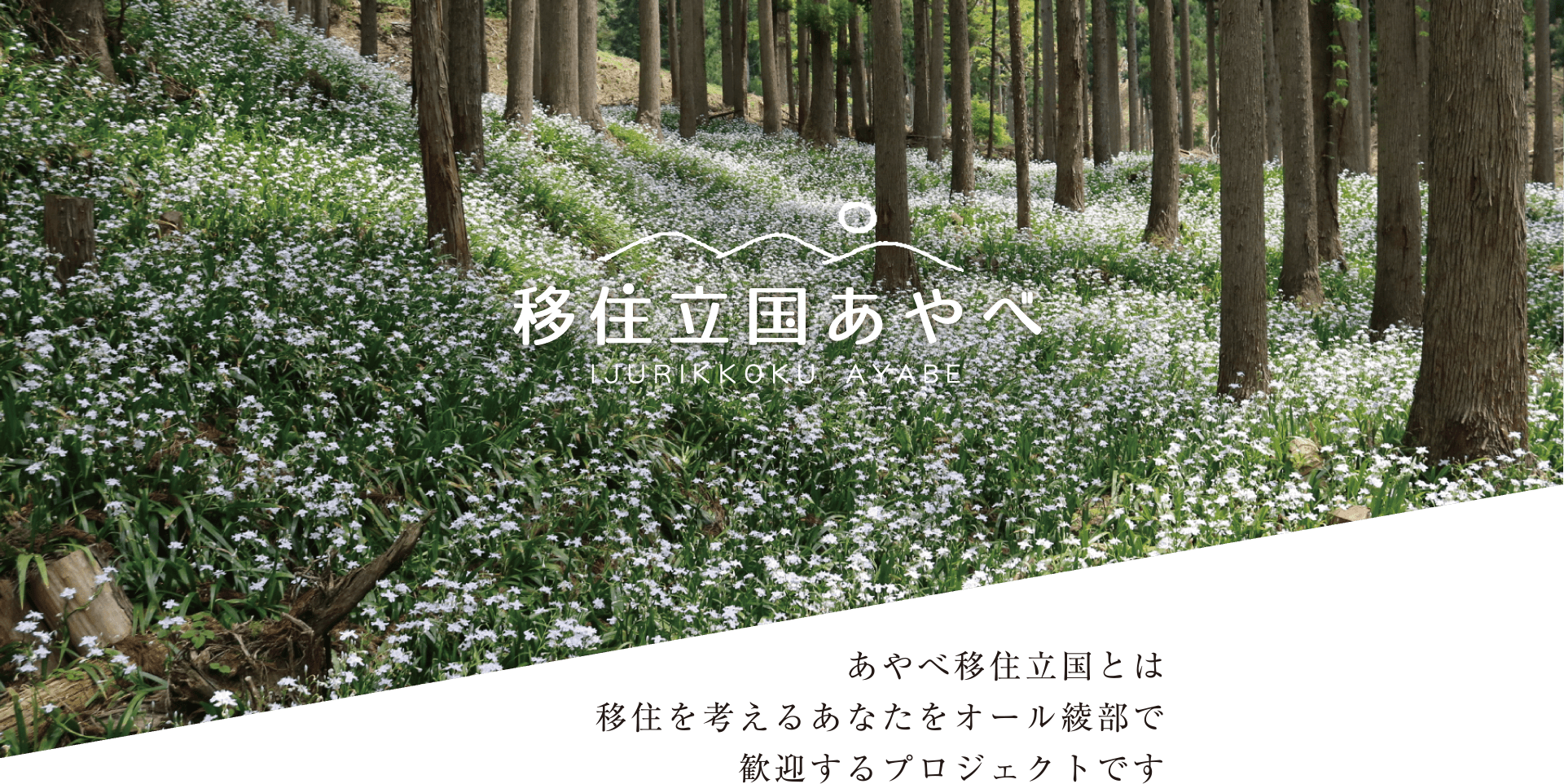 移住立国あやべ　あやべ移住立国とは移住を考えるあなたをオール綾部で歓迎するプロジェクトです